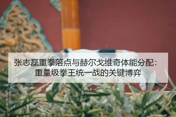 zhang-zhi-lei-zhong-quan-luo-dian-yu-he-er-ge-wei-qi-ti-neng-fen-pei-zhong-liang-ji-quan-wang-tong-yi-zhan-de-guan-jian-2-121.jpg