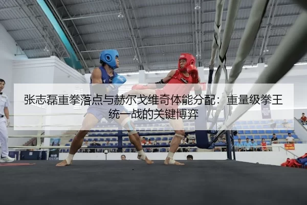 张志磊重拳落点与赫尔戈维奇体能分配：重量级拳王统一战的关键博弈