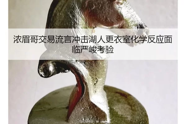 浓眉哥交易流言冲击湖人更衣室化学反应面临严峻考验