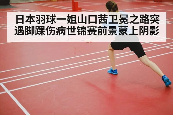 badminton court competition