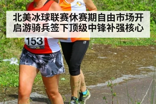 北美冰球联赛休赛期自由市场开启游骑兵签下顶级中锋补强核心
